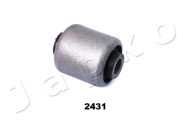 GOJ2431_1.JPG