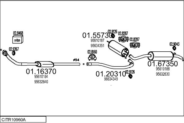 CITR10960A.JPG