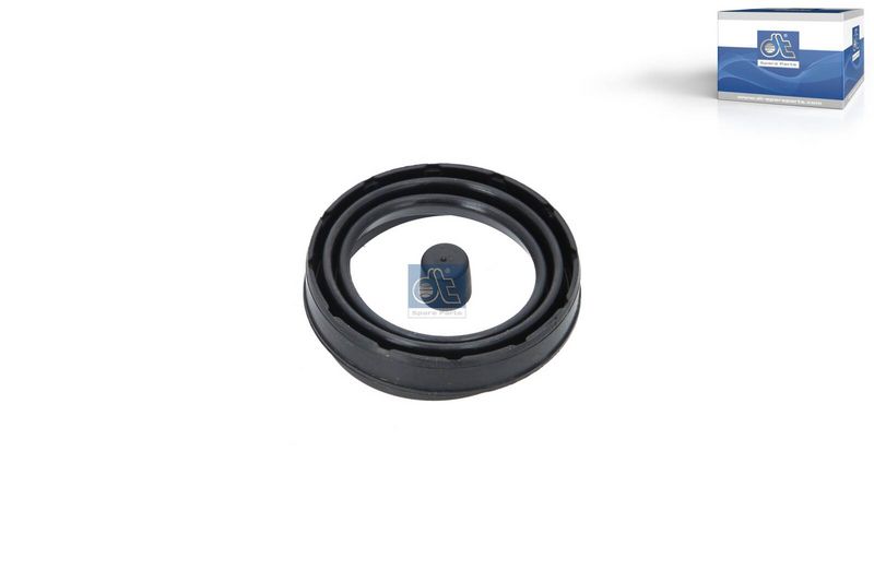Set reparatie, etrier 4.91125 DT Spare Parts