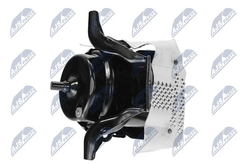 Paigutus, Mootor, NTY ZPS-CH-150