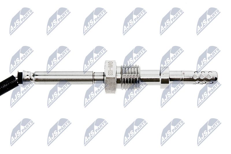 egt-vw-033_2-wm.JPG