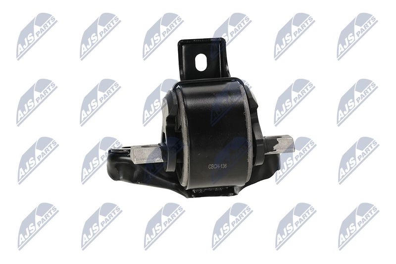 Paigutus, Mootor, NTY ZPS-CH-136