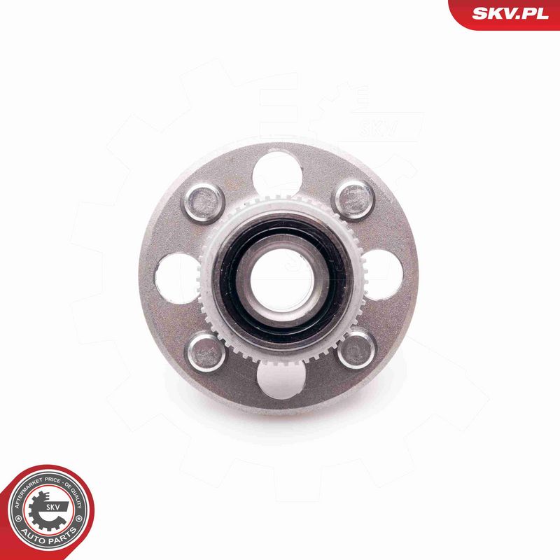 ESEN SKV 29SKV054 Wheel Bearing Kit