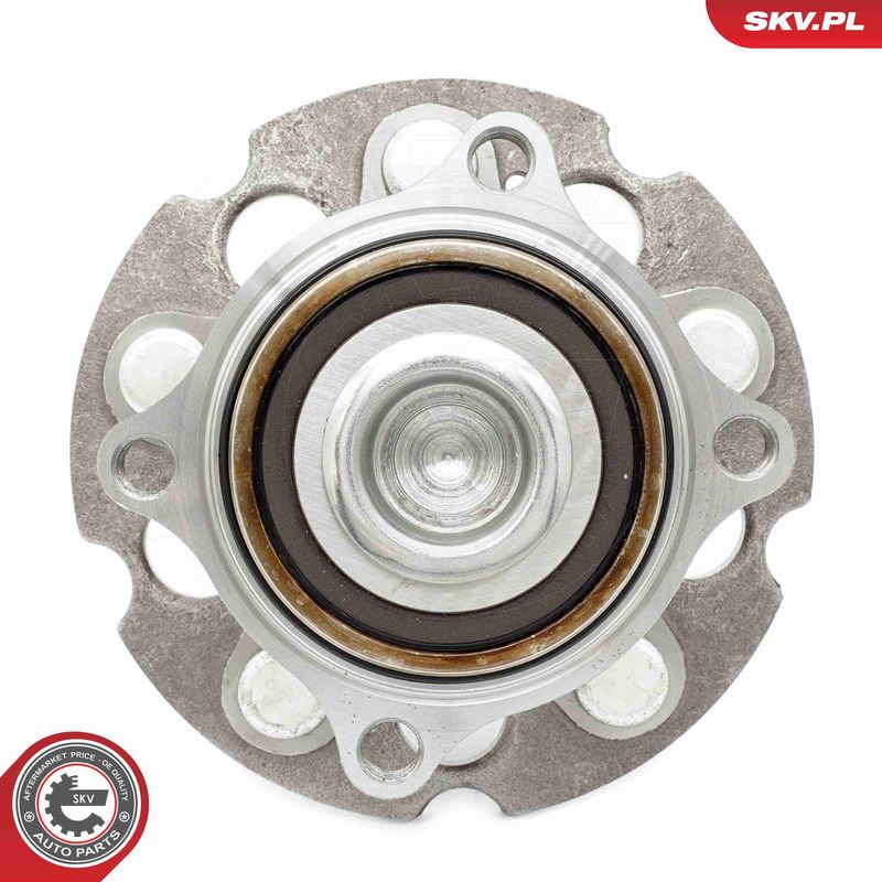 ESEN SKV 29SKV605 Wheel Bearing Kit