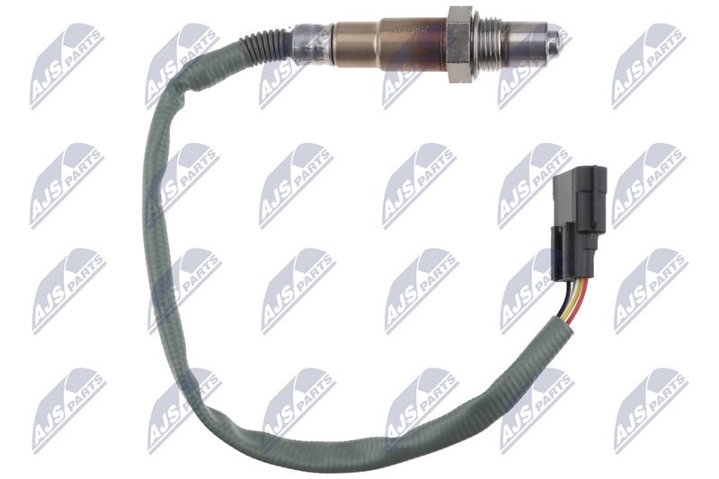 ESL-RE-015_1-WM.JPG