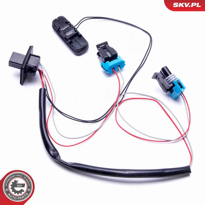 ESEN SKV 16SKV275 Switch, tailgate release
