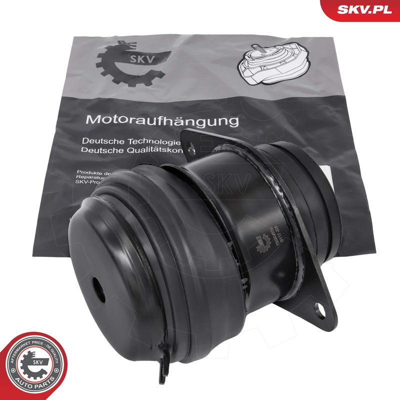 Paigutus, Mootor, ESEN SKV...