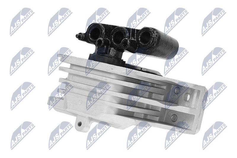 Paigutus, Mootor, NTY ZPS-CH-103