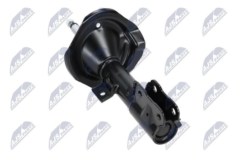 Amort, NTY A-MS-016