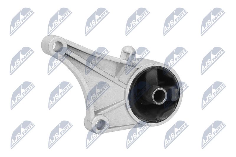 Paigutus, Mootor, NTY ZPS-PL-015