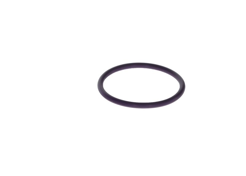 BOSCH F 00H N37 860 Seal