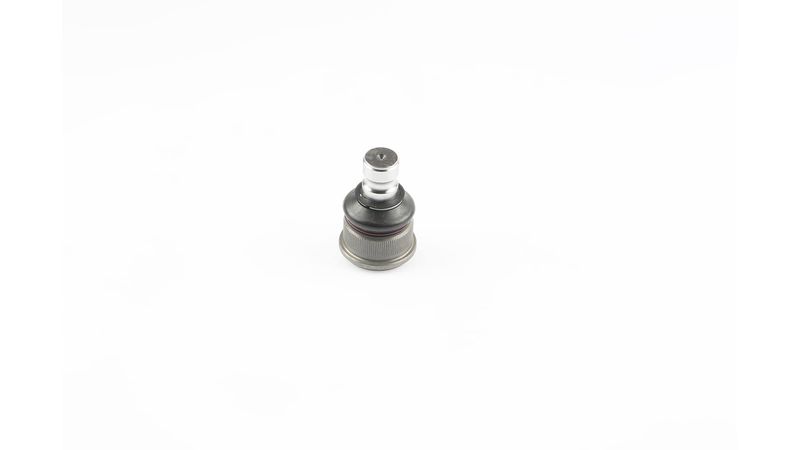SKF VKDS 316006 Šarnyras / girgždukas