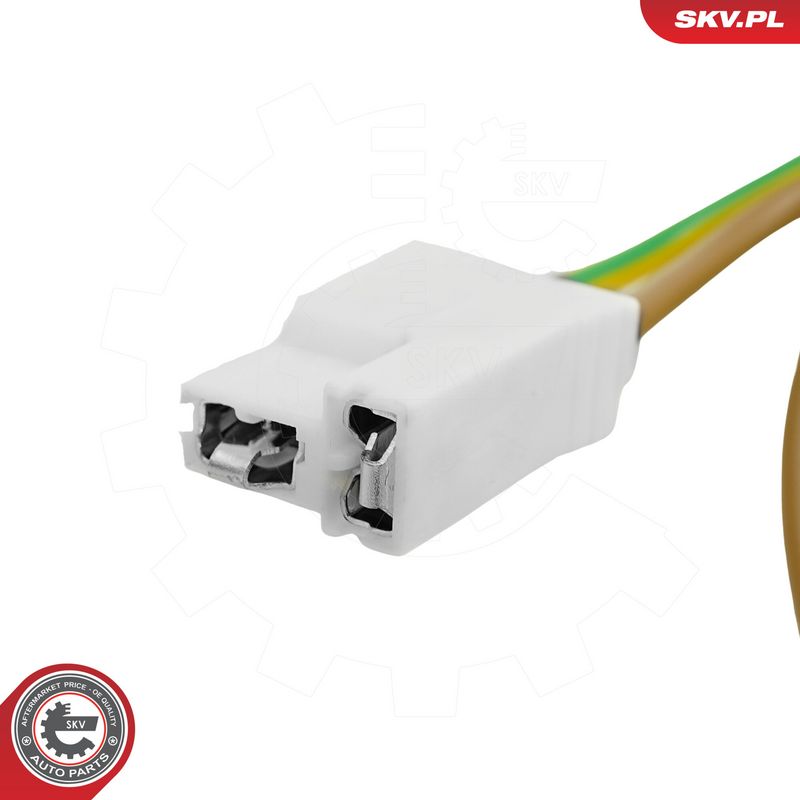 Kütusepump, ESEN SKV 02SKV224