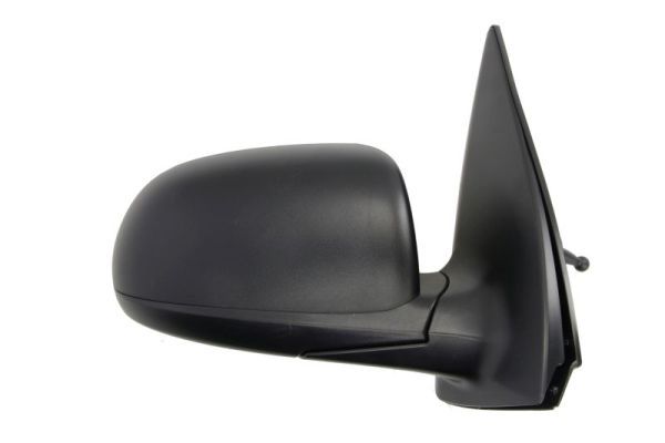 BLIC 5402-20-2002850P Exterior Mirror