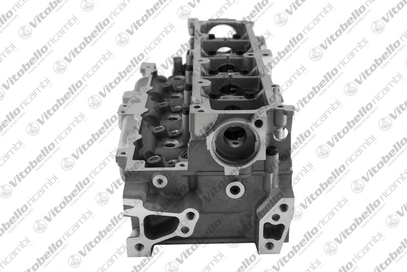 Vitobello ricambi 1004484N Cylinder Head
