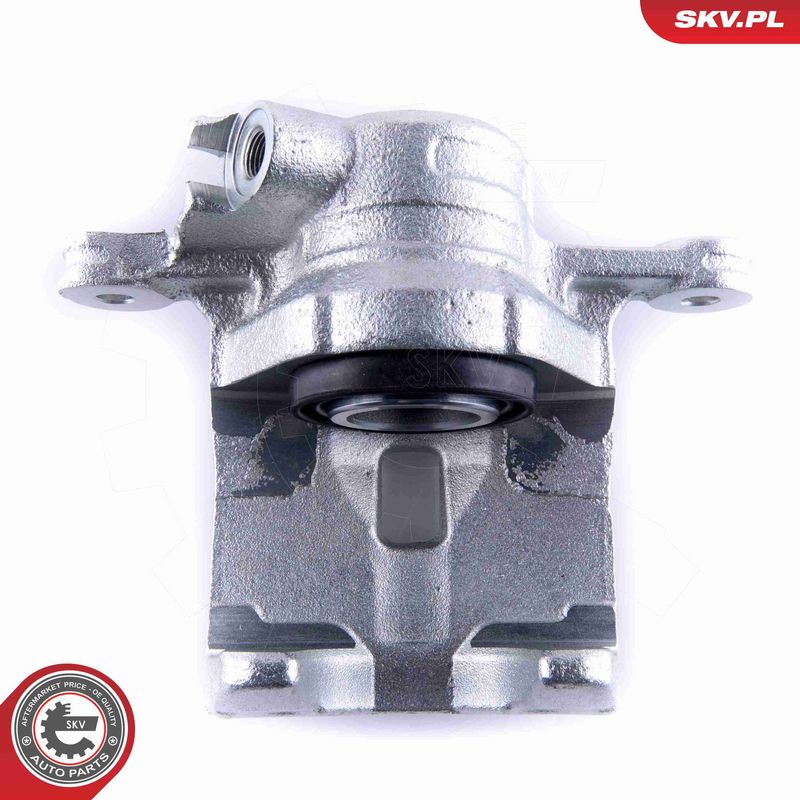 Pidurisadul, ESEN SKV 55SKV284