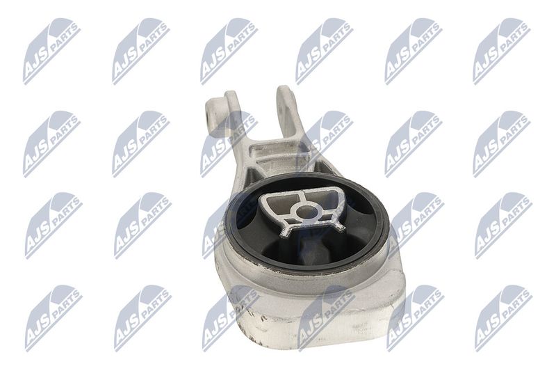 Paigutus, Mootor, NTY ZPS-PL-079