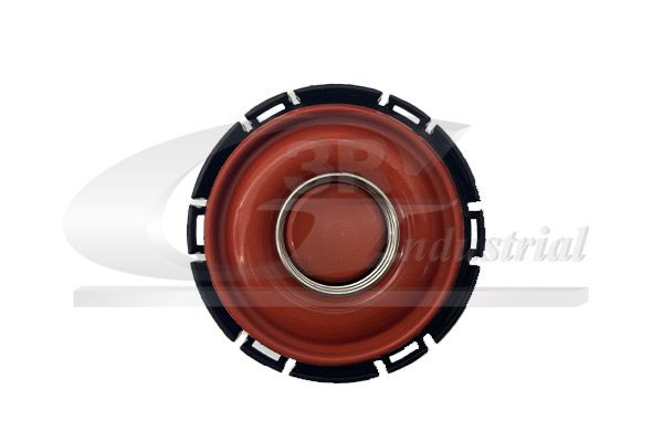 3RG 81118 Valve, crankcase ventilation