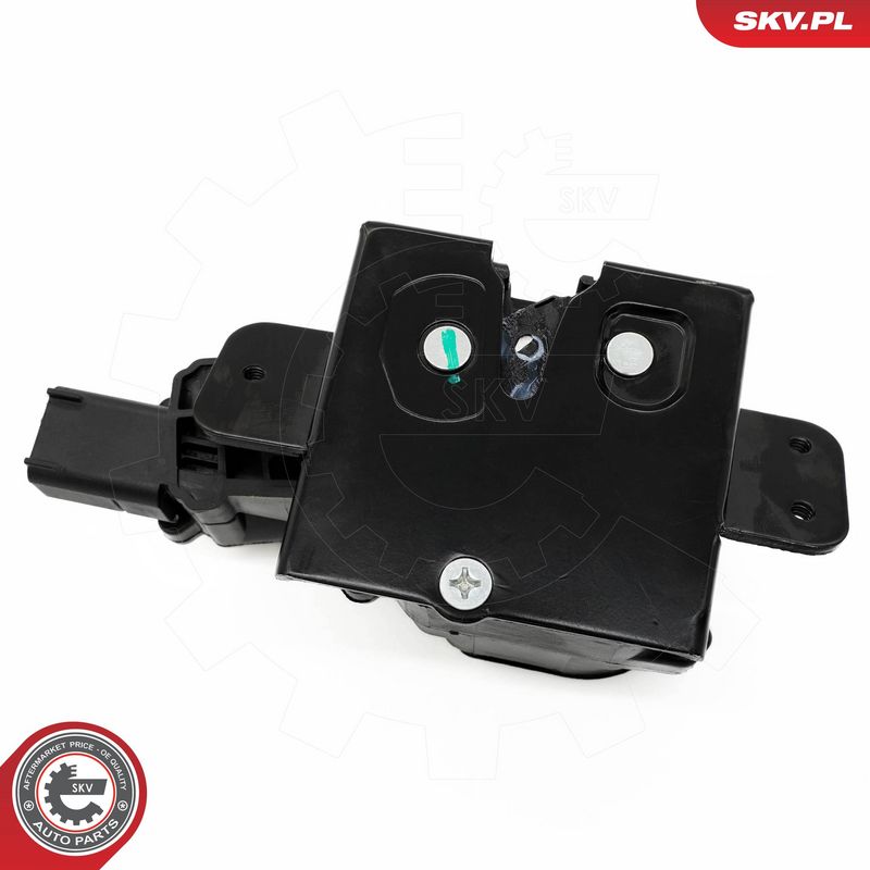 Tagaluugi sulgur, ESEN SKV 16SKV099