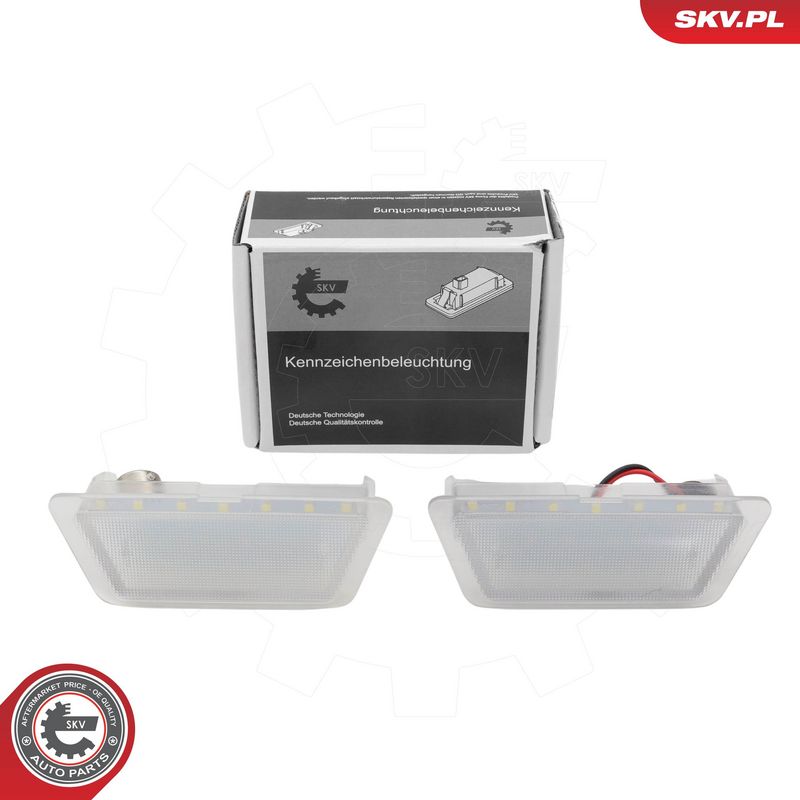 Numbrivalgustus, ESEN SKV...