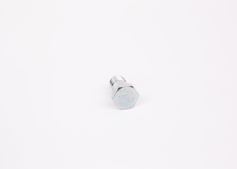 Surub 1 463 456 344 BOSCH