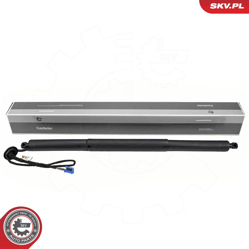 Elektrimootor, tagaluuk, ESEN SKV 52SKV271