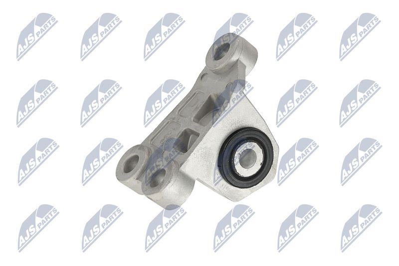 Paigutus, Mootor, NTY ZPS-CH-118