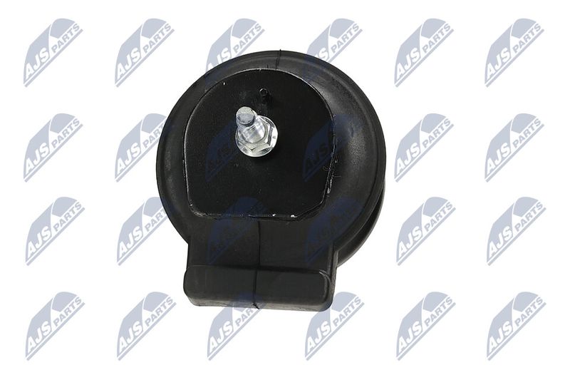 Paigutus, Mootor, NTY ZPS-NS-065