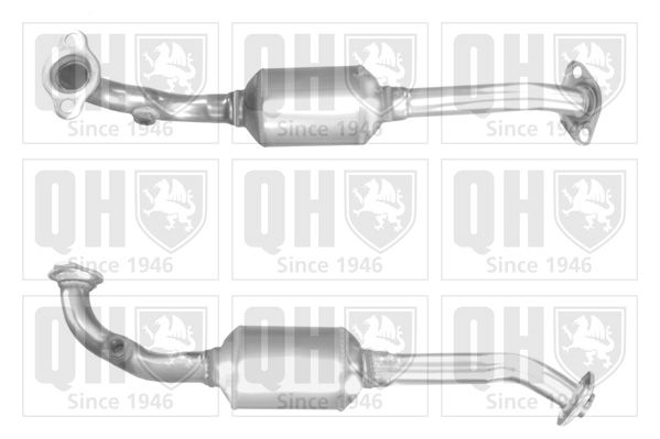 QH_QCAT91816H.JPG