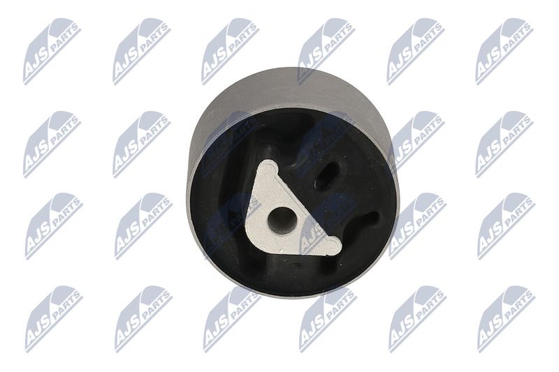 Paigutus, Mootor, NTY ZPS-CH-039