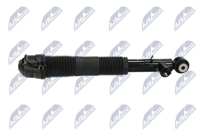 Amort, NTY A-LR-036