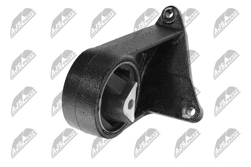 Paigutus, Mootor, NTY ZPS-CH-005