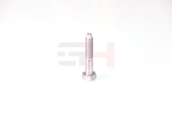 GH GH-393708 Bolt, kingpin