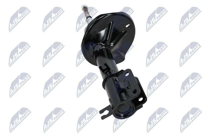 Amort, NTY A-CH-053