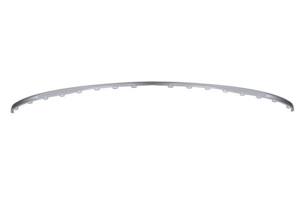 BLIC 5703-11-0030971P Trim/Protection Strip, bumper
