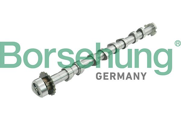 Nukkvõll, Borsehung B13031