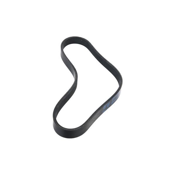 STELLOX 09-41554-SX V-ribbed Belt