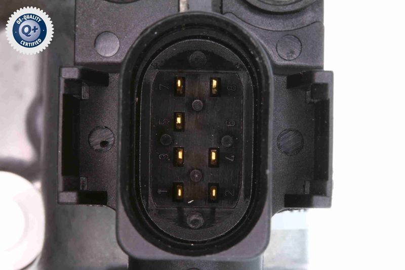 V10-81-0001_03.JPG