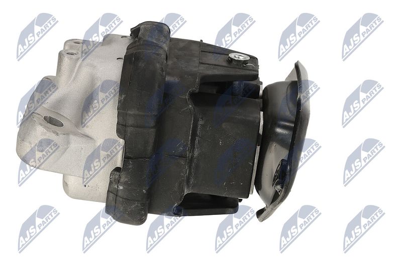 Paigutus, Mootor, NTY ZPS-CH-116