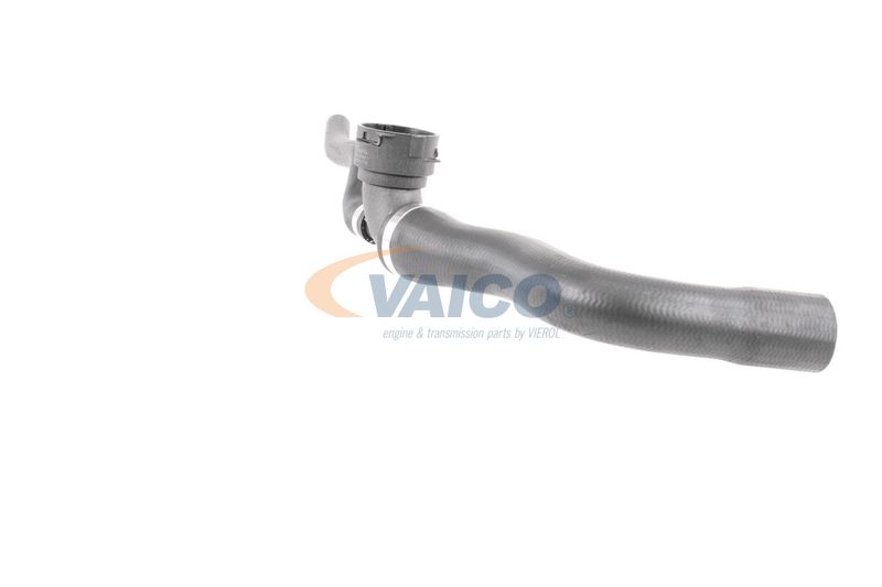 VAICO V30-3264 Radiator Hose