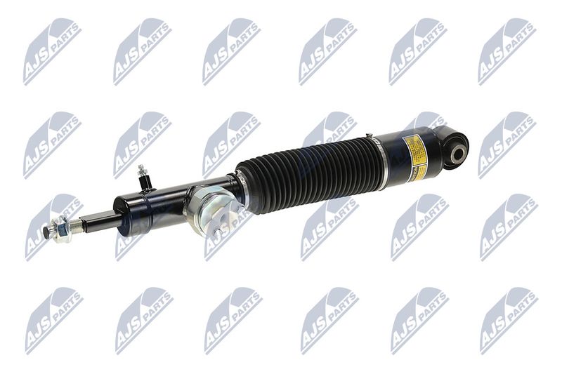 Amort, NTY A-NS-055