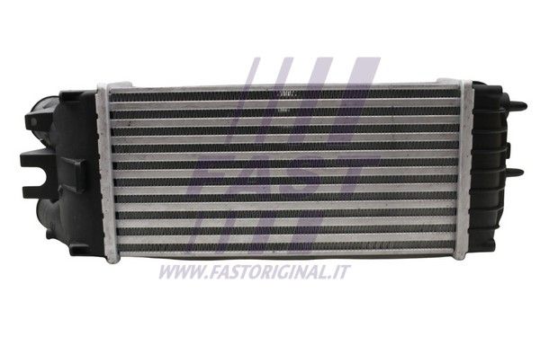 FT55600_1_1.JPG