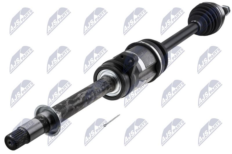 NPW-MS-092_1-WM.JPG