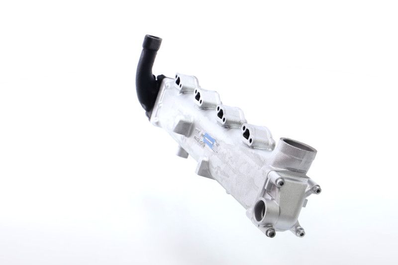 REMANTE 010-001-000004R EGR Module