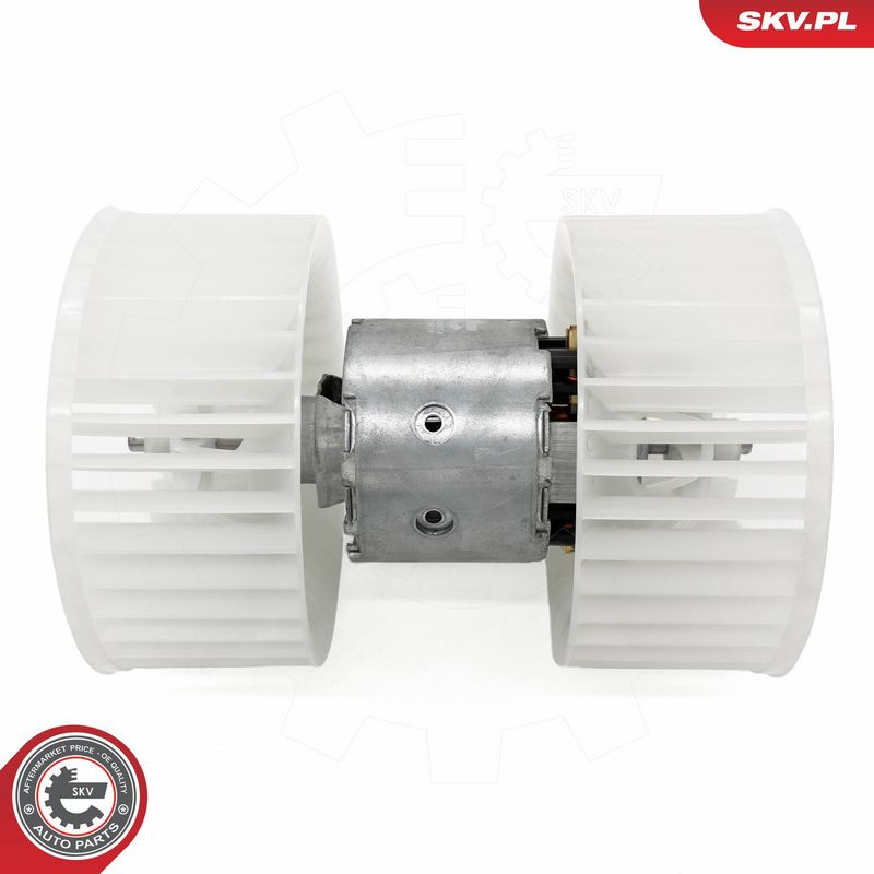 Salongipuhur, ESEN SKV...