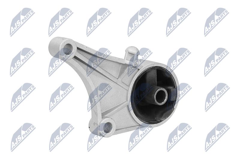 Paigutus, Mootor, NTY ZPS-PL-015