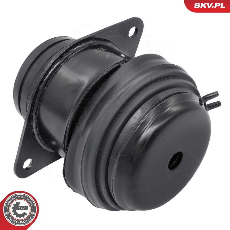 Paigutus, Mootor, ESEN SKV 75SKV010