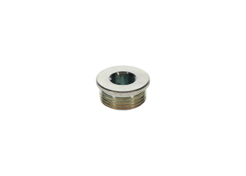 Surub 1 423 462 099 BOSCH