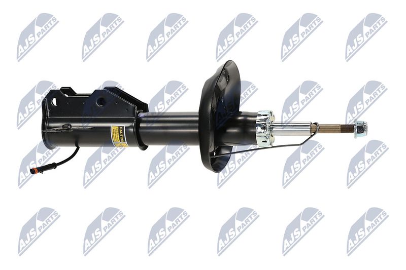 Amort, NTY A-PL-062