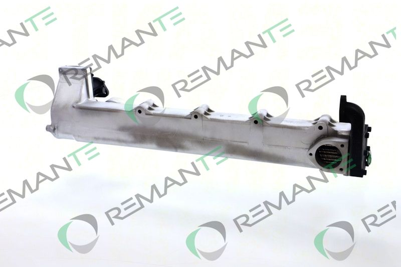REMANTE 010-001-000002R EGR Module